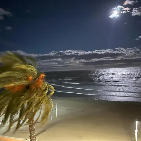 Torrenostra Sea Dream *